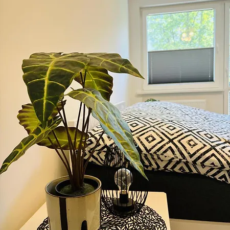 Apartamento Centrum 1