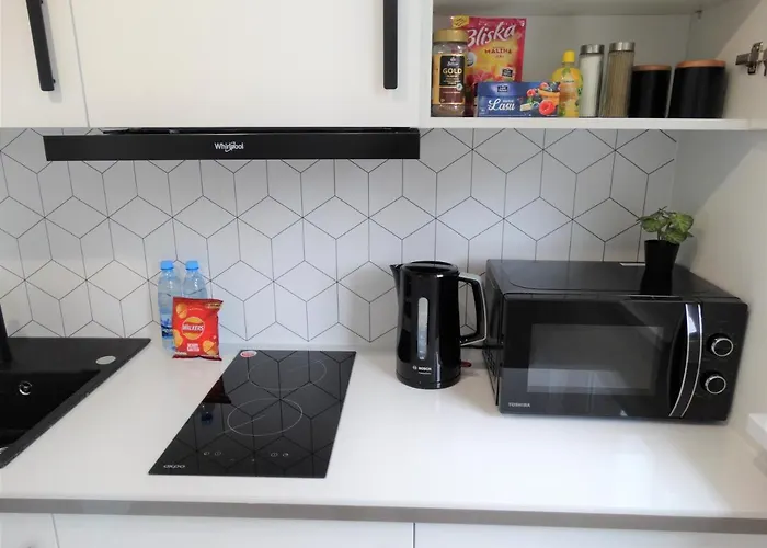 Centrum 1 Apartment *